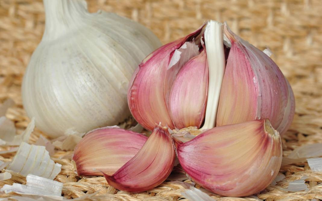 Sarımsağı tuzlu fıstık gibi soymanın sırrı bulundu! Aslında bu kadar basitmiş - Resim: 18